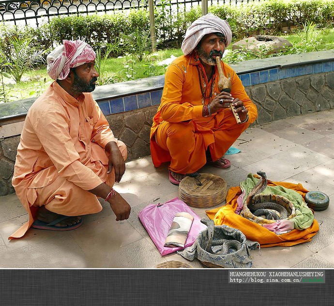 Hai người đàn ông làm nghề huấn luyện  rắn biểu diễn ngồi một góc phố ở Jaipur, thủ phủ tỉnh Lajasthan, Ấn Độ.